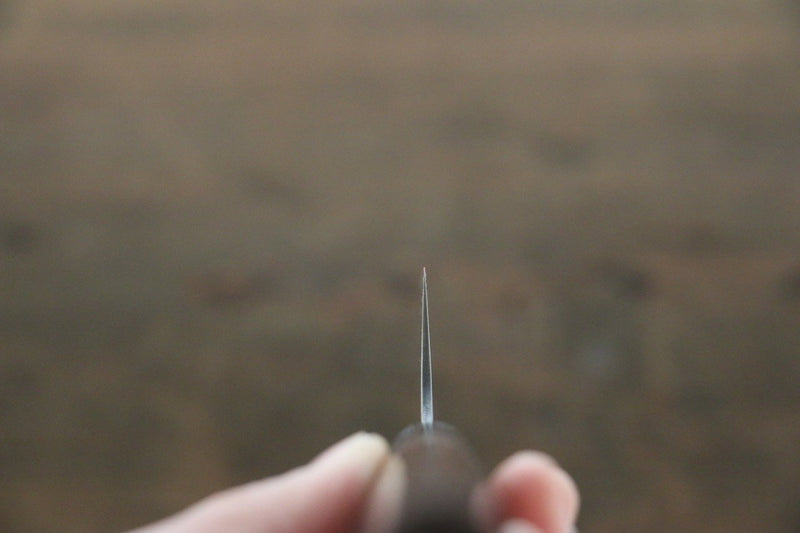 Seisuke SG2 Sujihiki  240mm Mango de Shitan - Japanny-SP